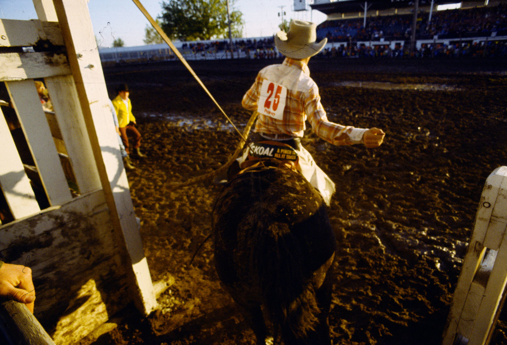 Miles City Bucking Horse Sale, 1978